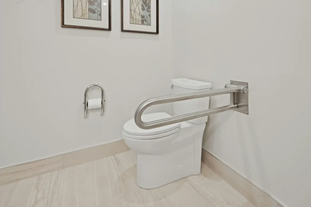 bathroom grab bars elderly safety